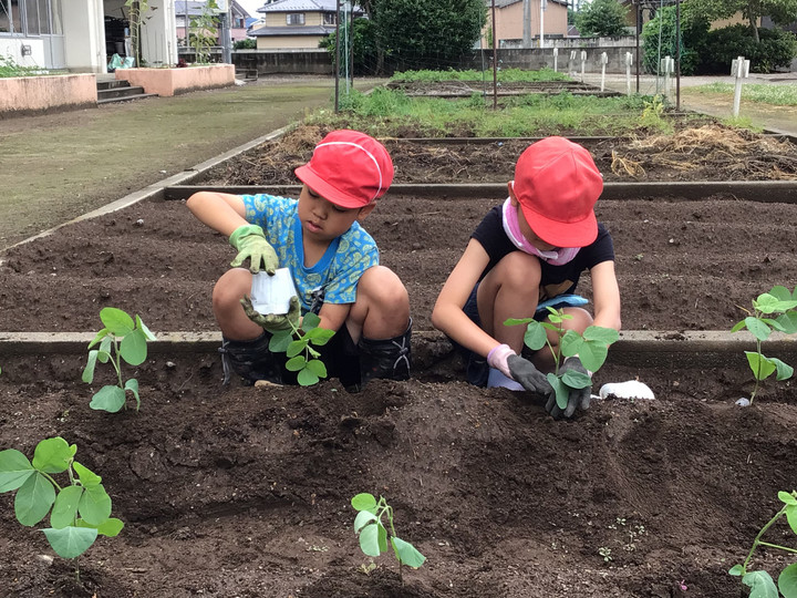 0bb76df5d7e24f8a9c0588c8e6209d0e