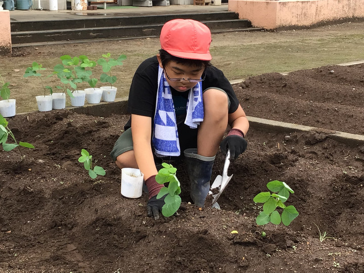 2d77c8ffc72b43b586af4d35a4d2216b