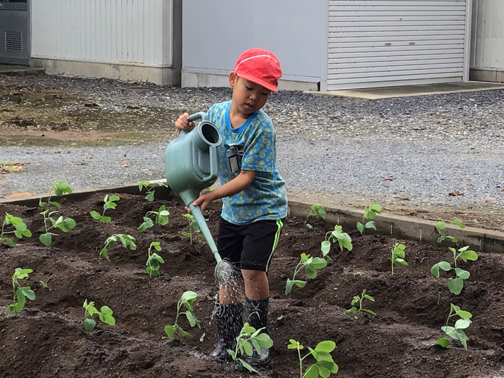 400db074a8ce46ad95081ae141c1c48f