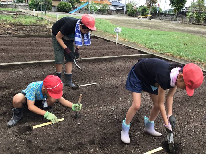 4e853d2e02d74259b587d94051f500c7