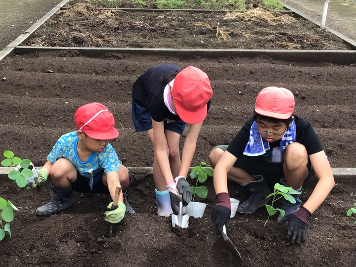 A0e2b9db3dc7467eb3635feb6589e28e