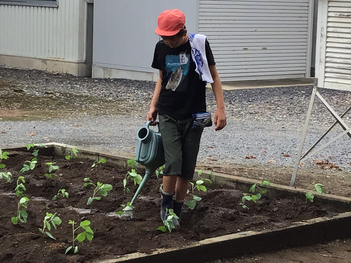 A5cd7fc3dfde489194c2ce1cbb5ac63f