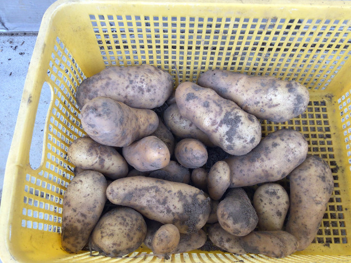 Ba69a5694aa34920b59bfc9070c8fd07