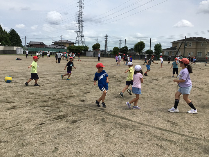 7c8973a708b443ddba681111358604b5