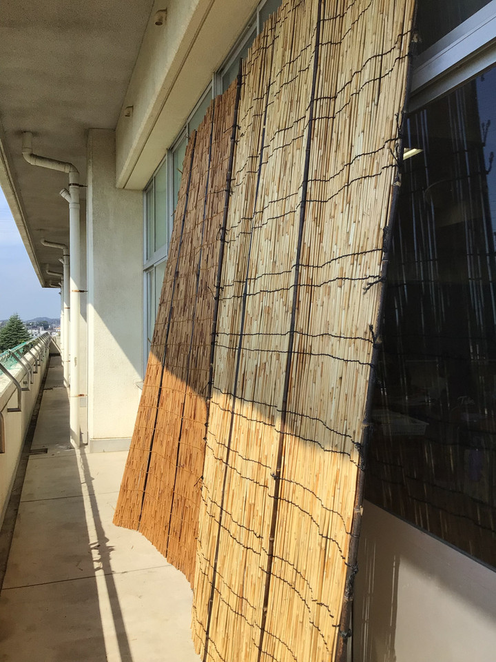 C761a3101a9d447f812600506f365521