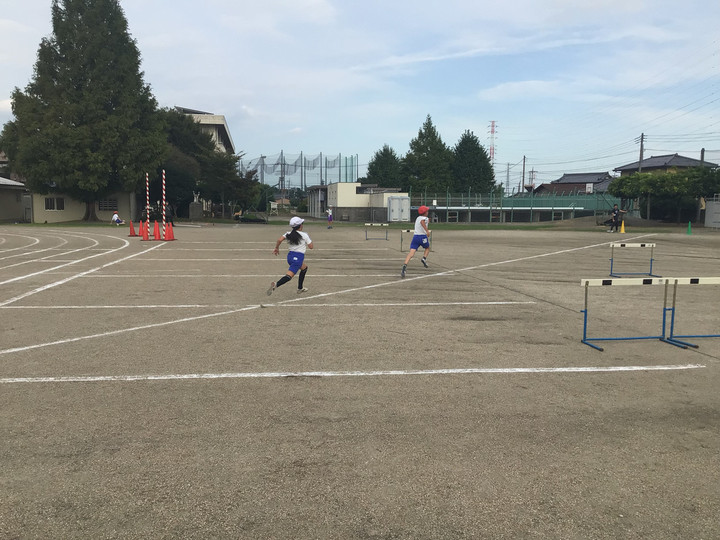 45fecd2da950465c873c59358fb02d20