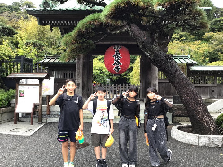 0b804829e9bf49ef8c1fe9a3a434384a