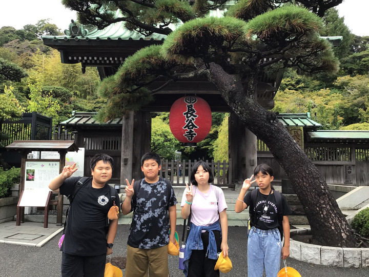 A5fd3c09ba724e85ae1024b3fd318799