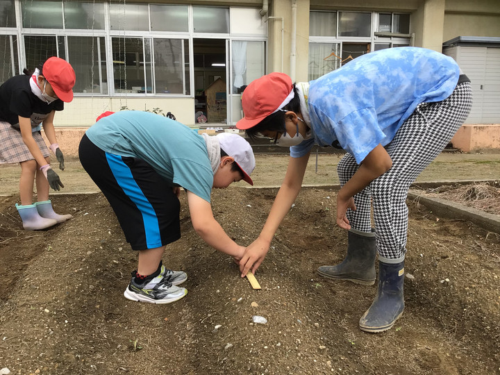 0293b99f7f224db7bee89f36210c62e1