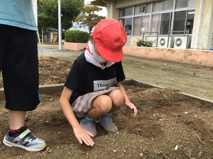 061c79d09e984fe39cb7678423ae349f