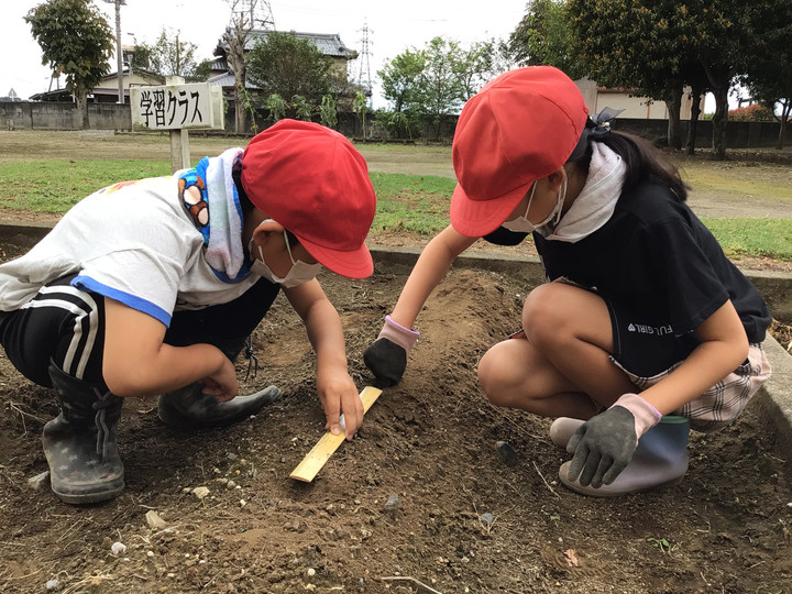 26a847ffcaa6481a81e48db7d37bd62d