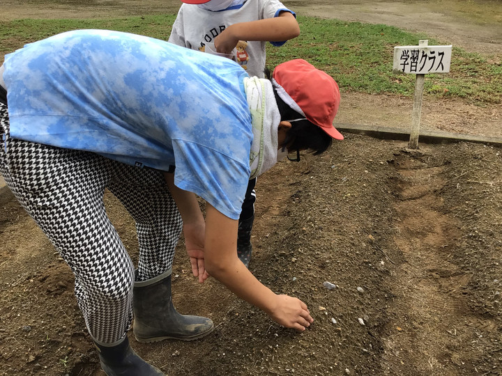 4d6963da1e1c4fc093f89ce35dda4704