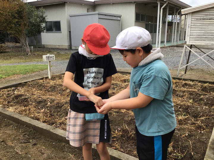 7bd19e4503f0463fa9d439928d30a745