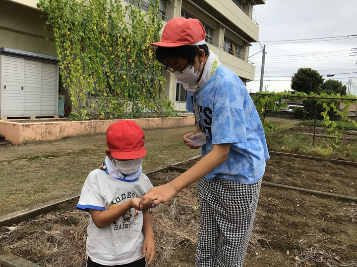 9234efe09bf24a5bbe1a5bf9d13eec34