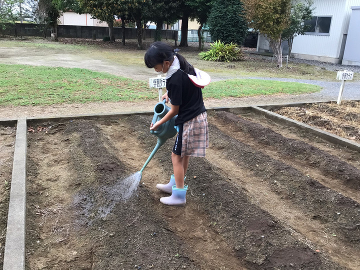 A3917ff92dfd4caa95f5c658c60ff361