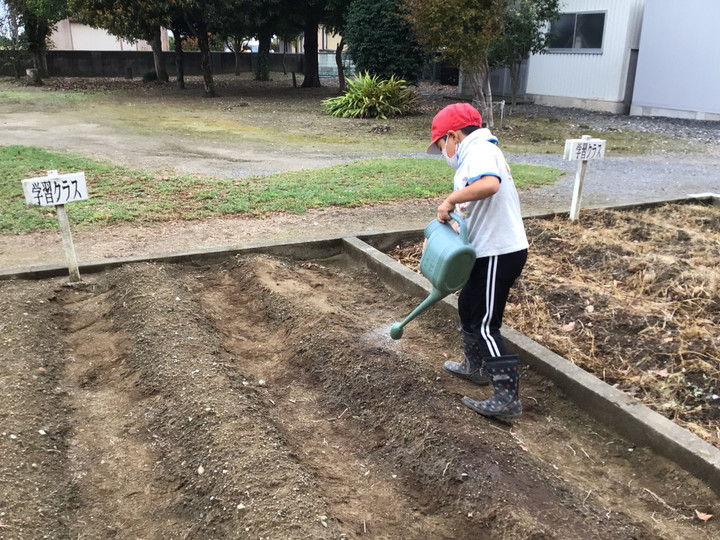 Bd7e795569d344c09d7ffb66cb246606