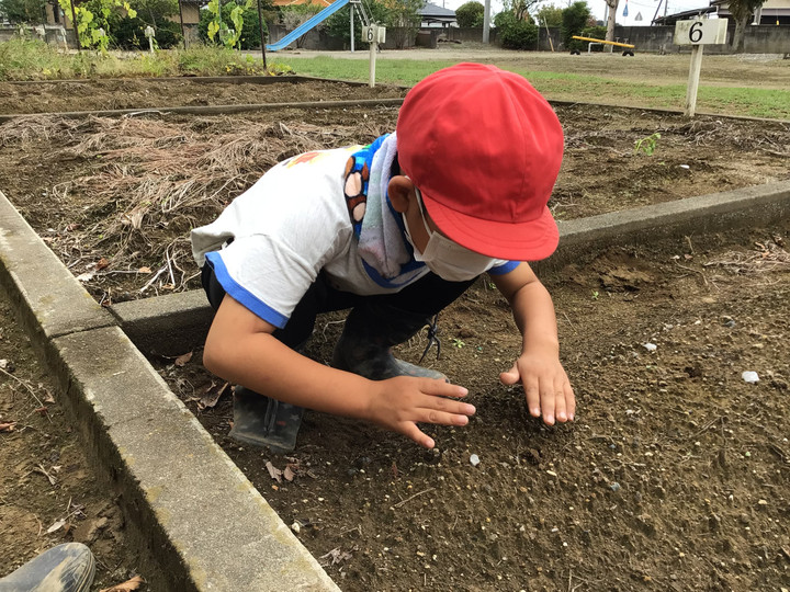 F43d11c85363405cb7a0500b6150b073