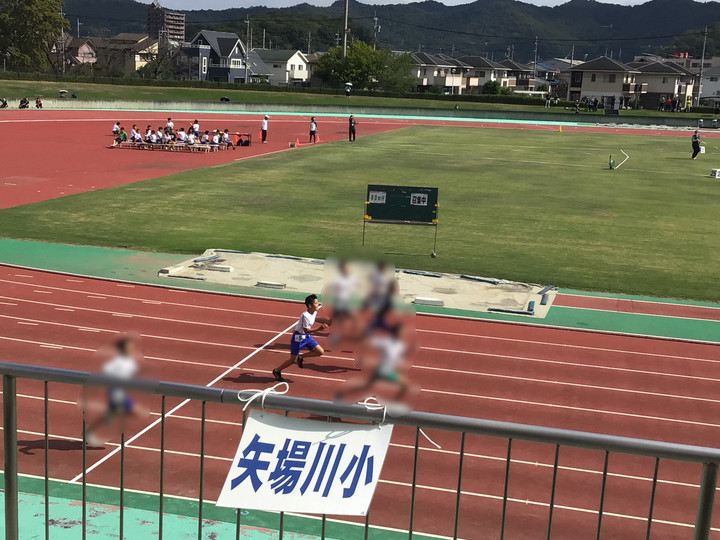 0d9e24893e104a879b03b08c855a0a16