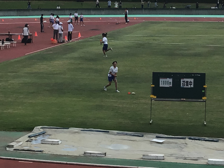 334c6a05bc004eb5990343407efdc806