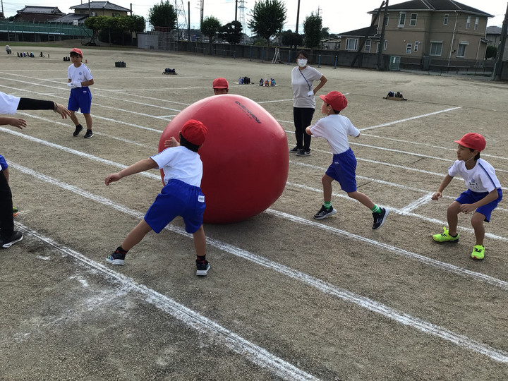 87aa42d6f6654d4d9d9b56f76832756b