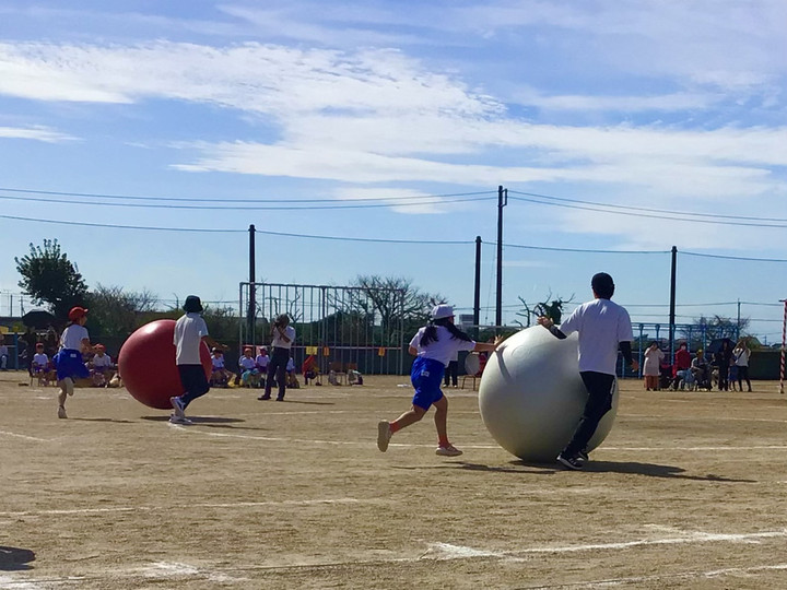 619f508c51ac49639d7f8a9f9902c57c