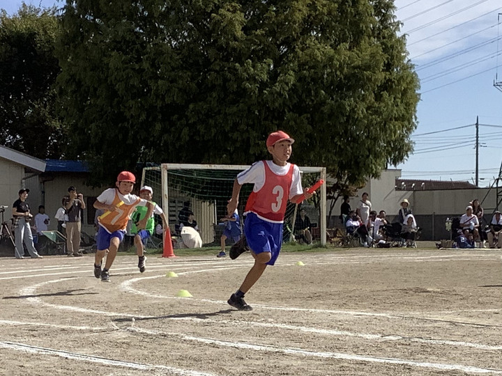 A9c6557163df44d1a787c75f9acd42e2