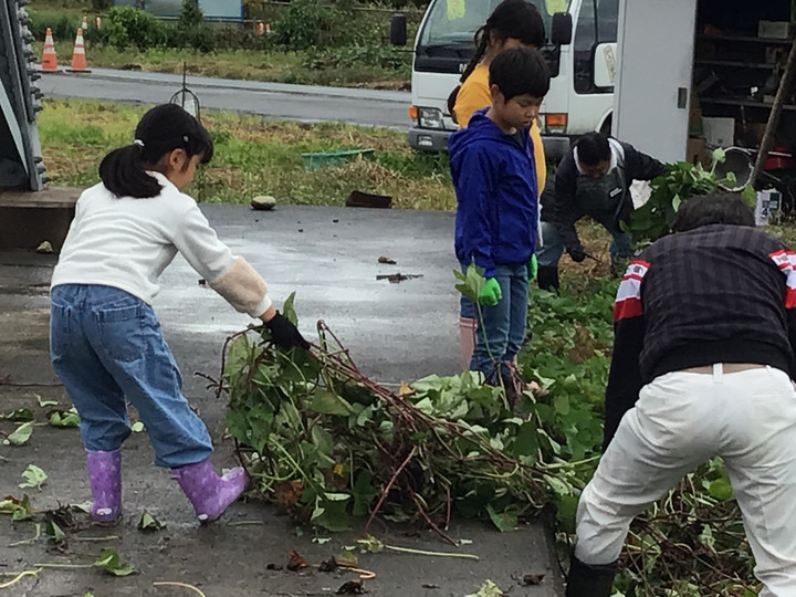 129a519096014af388fbbbba5a4dad13