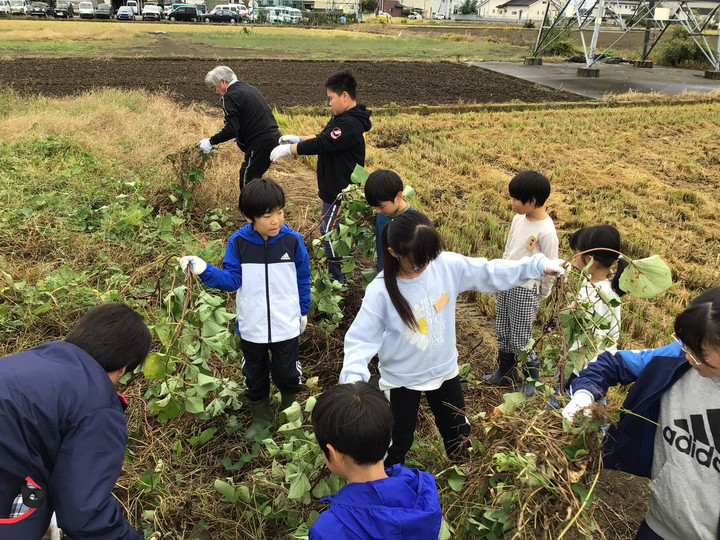 5f2f105d5a7847f3bb024d5e09493e55