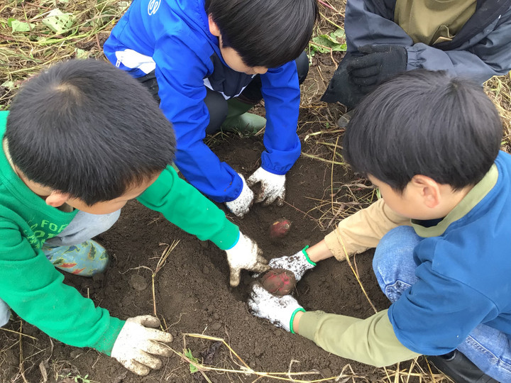 6c4464ef0b234b4d99374cb1b04deaa8