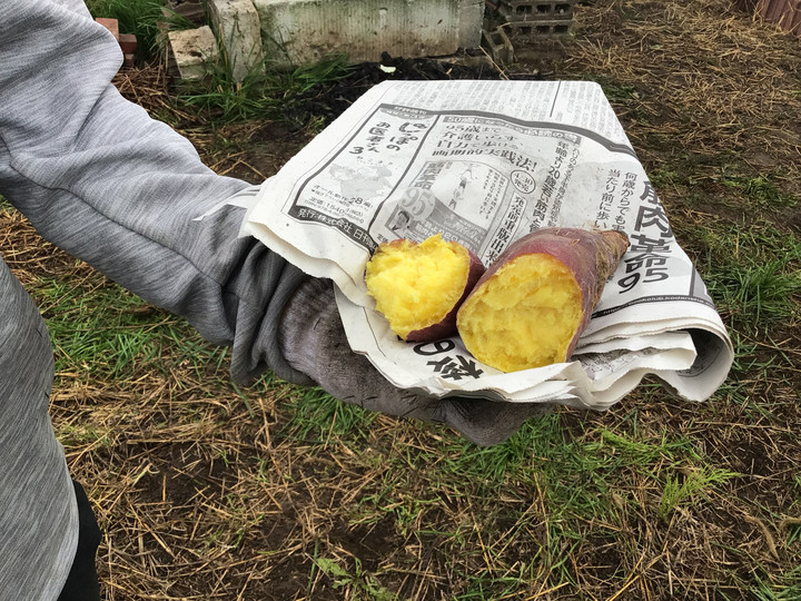 9dd8c8be312c485898d510e3a97f8f5a