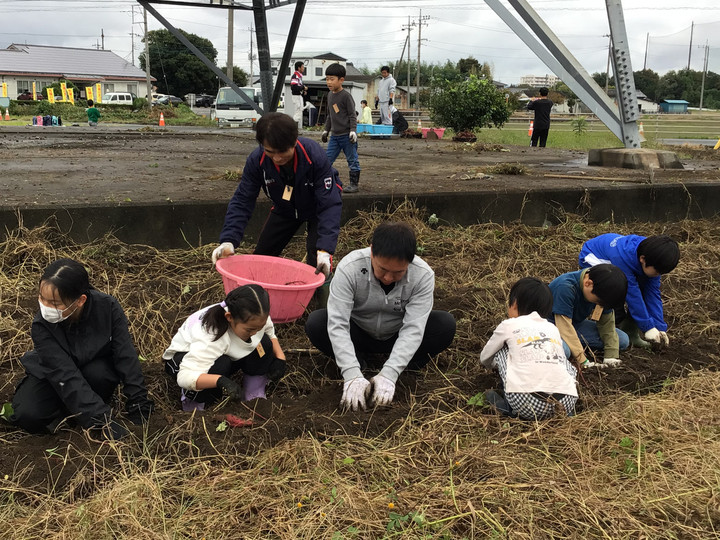 Bcddaa71df0340e78388868d649fd742