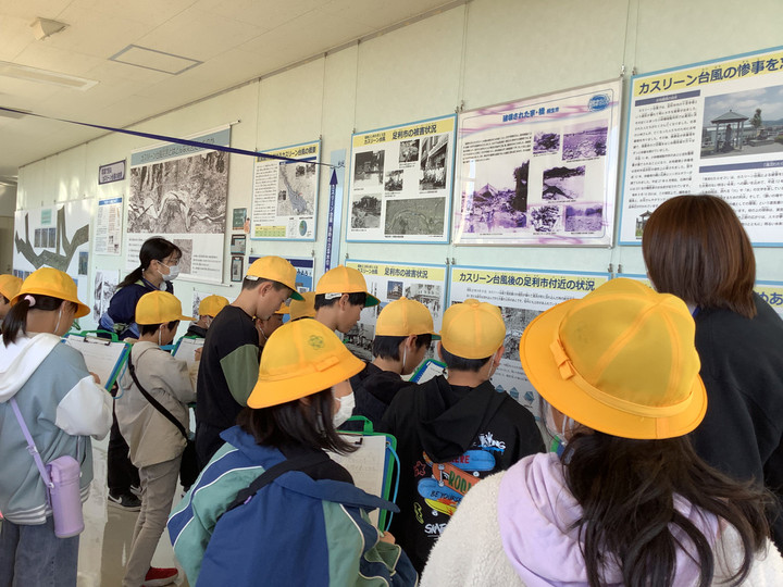 506eaa72f98946aeb8838497a27e3b49