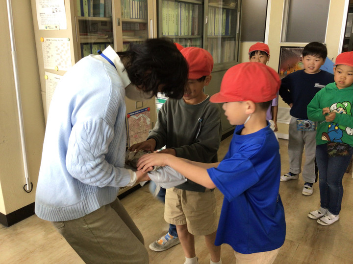 6d0a6e51aec64e8db7ca8ec1a1afdd0a