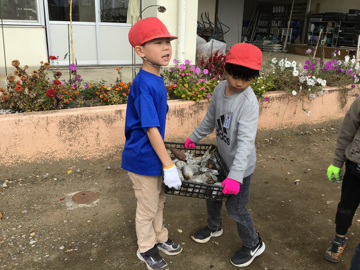 79060299410b4d30afda0214552bef1c