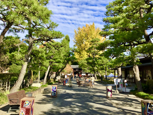 E981c10729b443ec85131d9166135741 E981c10729b443ec85131d9166135741